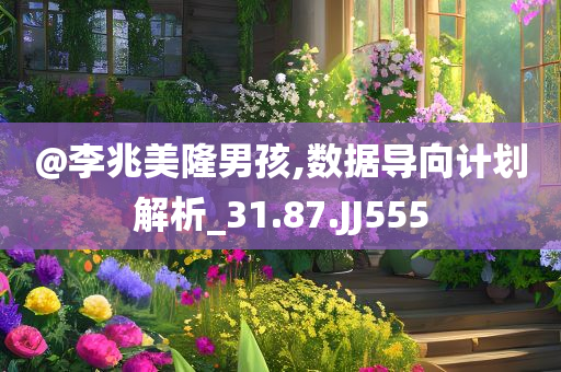 @李兆美隆男孩,数据导向计划解析_31.87.JJ555