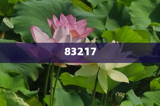 什么化妆品去皱效果好,游戏版游戏版实地_挑战版787878
