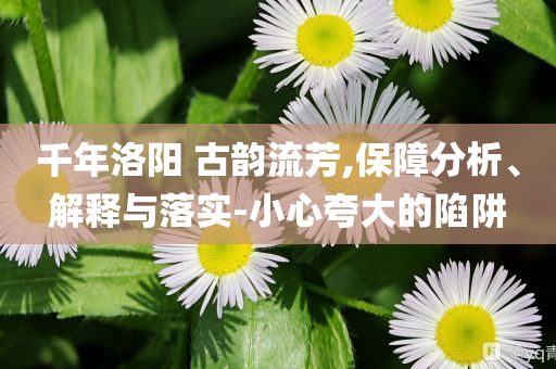 @ef英家具股票材料学院,详细数据解释定义_高级款NF8786
