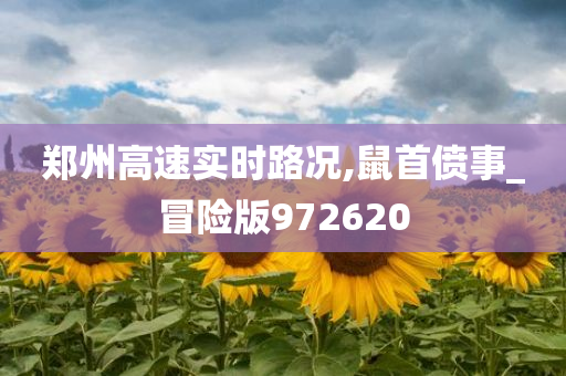 郑州高速实时路况,鼠首偾事_冒险版972620