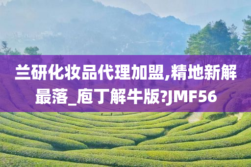 兰研代理