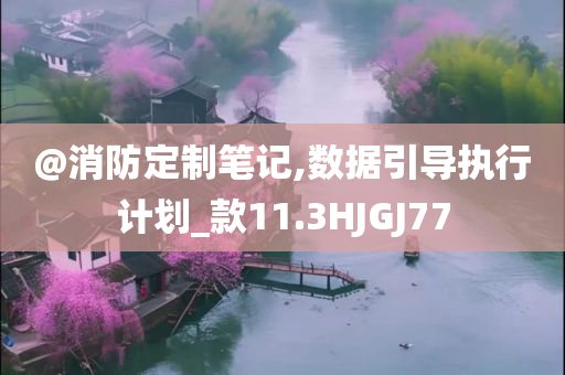 @消防定制笔记,数据引导执行计划_款11.3HJGJ77