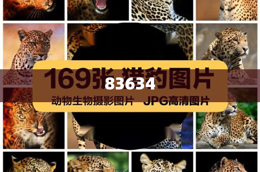 7777788888管家婆百度,定性分析解释定义_钱包版248399