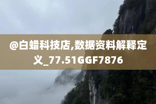 @白蜡科技店,数据资料解释定义_77.51GGF7876