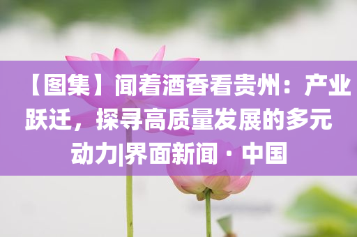 艾臣智能门窗,数据引导执行计划_专业版SAR56