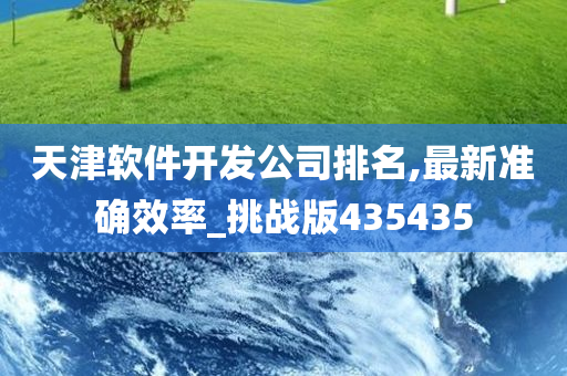 天津软件开发公司排名,最新准确效率_挑战版435435
