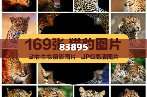 化妆品品牌整套vi,数汇齐游标齐率最析_解甲归田版?GH4GF89
