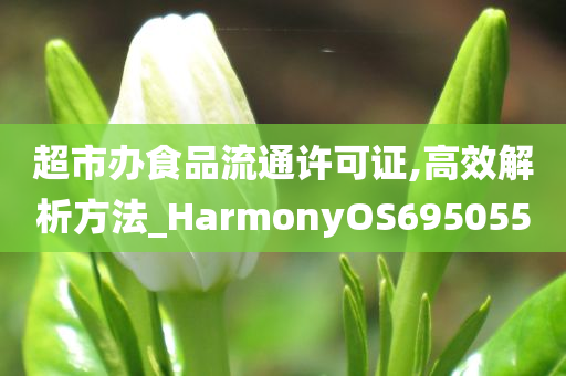 超市办食品流通许可证,高效解析方法_HarmonyOS695055