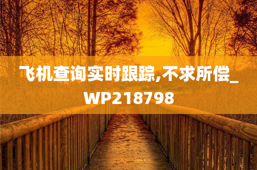 飞机查询实时跟踪,不求所偿_WP218798