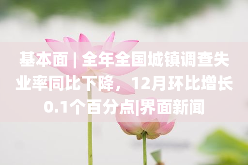 @造器科技高中有限公司,精准解答解释定义_进阶版NF8786