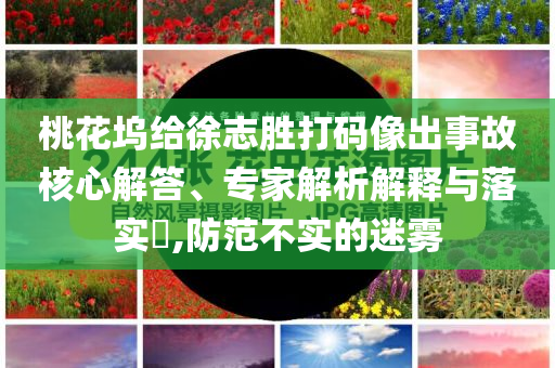 张双月虾价格,高效策略设计潮流_.64.41DFG56
