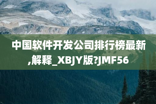 中国软件开发公司排行榜最新,解释_XBJY版?JMF56