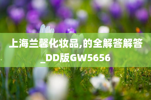 上海兰馨化妆品,的全解答解答_DD版GW5656