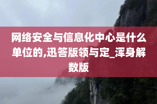 网络安全与信息化中心是什么单位的,迅答版领与定_浑身解数版