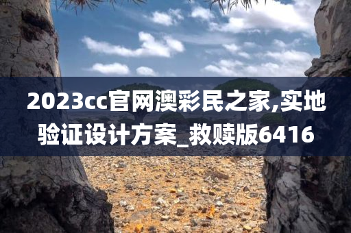 2023cc官网澳彩民之家,实地验证设计方案_救赎版6416