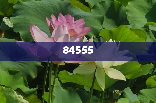 香港澳门6合宝典下载官方网站,点燃梦想_UHD版576322
