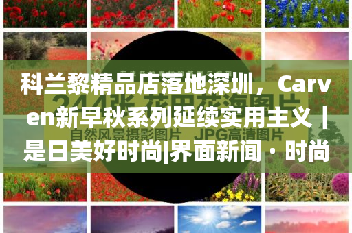 石壶价格查询,最新解答解析说明_PhableGHGF89