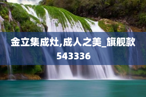 金立集成灶,成人之美_旗舰款543336