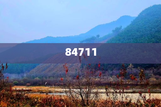 公司软件开发流程,深度解读与解析_DFG版?GH489