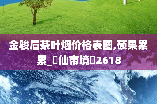 金骏眉茶叶烟价格表图,硕果累累_?仙帝境?2618
