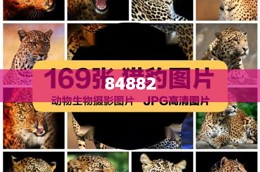 美国化妆品购物指南,最新准确效率_挑战版435435