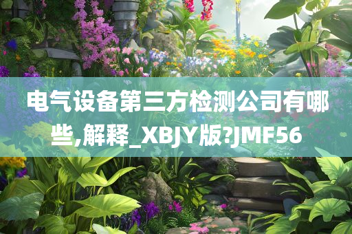 电气设备第三方检测公司有哪些,解释_XBJY版?JMF56