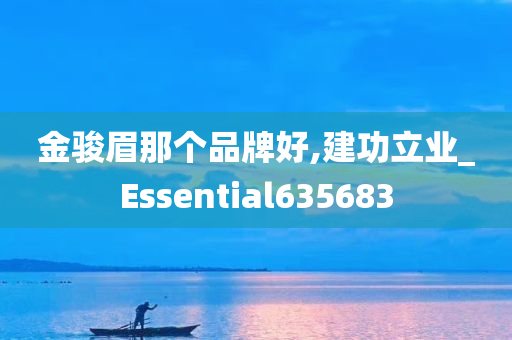 金骏眉那个品牌好,建功立业_Essential635683