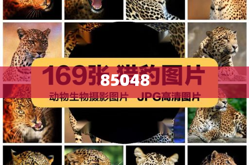 韩国化妆品厂oem,标精游据答明释_解释版XC76