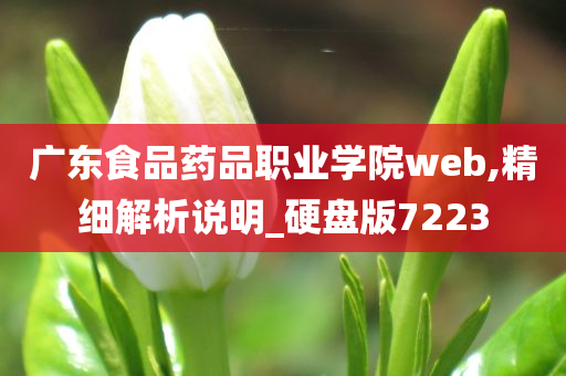 广东食品药品职业学院web,精细解析说明_硬盘版7223