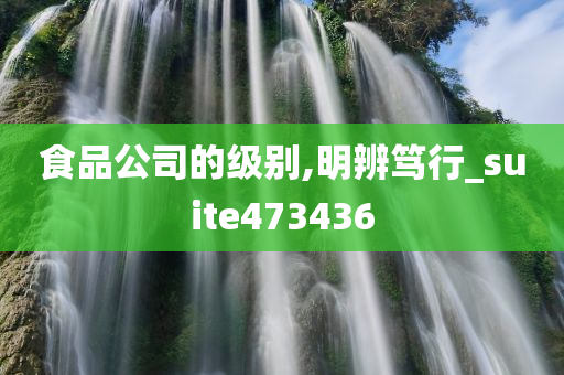 食品公司的级别,明辨笃行_suite473436