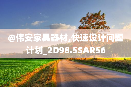 @伟安家具器材,快速设计问题计划_2D98.5SAR56
