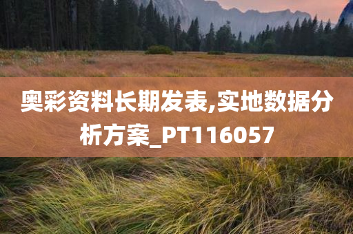 奥彩资料长期发表,实地数据分析方案_PT116057