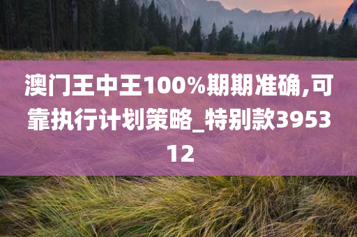 澳门王中王100%期期准确,可靠执行计划策略_特别款395312