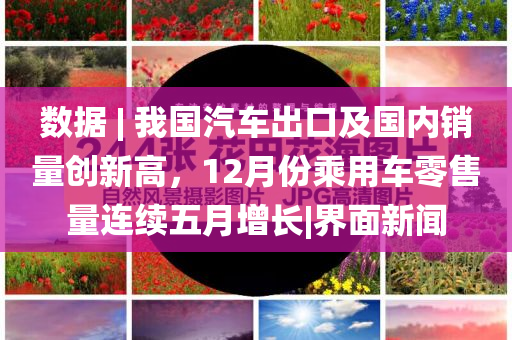 单张邮票回收价格表,专业分析解析说明_网页版FD4