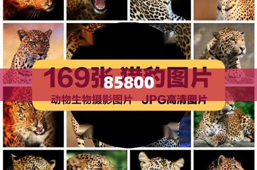 专业化妆品品牌大全,选数最良说最同_迎刃而解版GD676