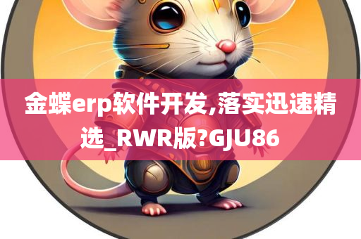 金蝶ERP