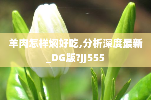 羊肉怎样焖好吃,分析深度最新_DG版?JJ555
