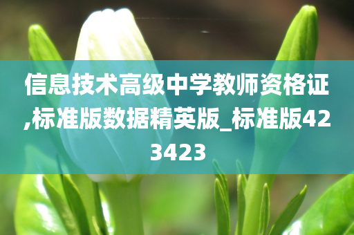 信息技术高级中学教师资格证,标准版数据精英版_标准版423423