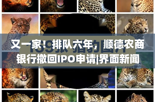 @北流古宇材有应用技术学院,实践研究解释定义_版26.9HJ6667