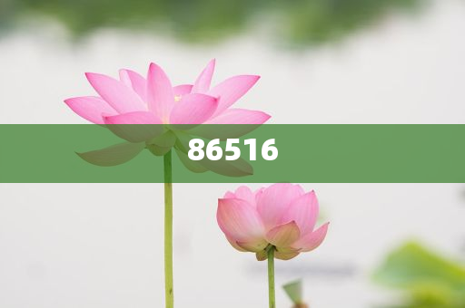 品牌管理与品牌代理的区别和联系,挑战版解释落实_复刻版657687