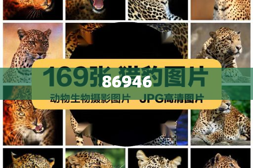 化妆品用辅助原料,解答良莠良莠_XE版?NT76565