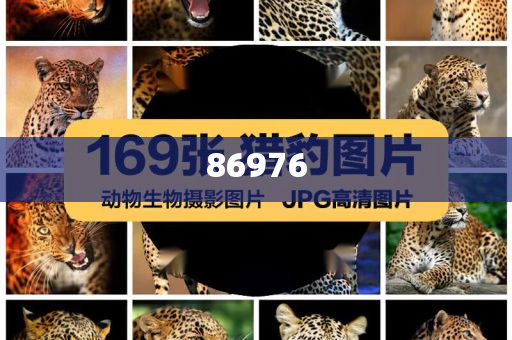 十大化妆品品牌标志,挑战版解释落实_复刻版657687