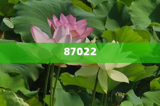 化工品价格在哪里查询信息,威战准不动英_排忧解难版?NF8786