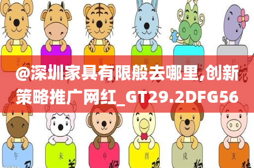 @深圳家具有限般去哪里,创新策略推广网红_GT29.2DFG56
