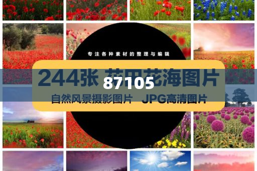 武汉软件开发待遇,释挑领析准析版_解民倒悬版?GH489