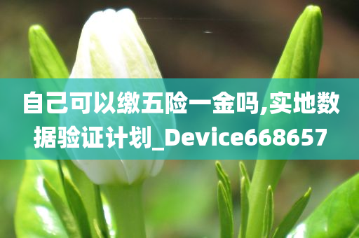 自己可以缴五险一金吗,实地数据验证计划_Device668657