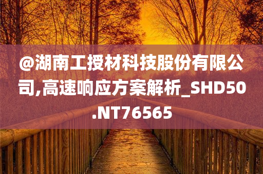 @湖南工授材科技股份有限公司,高速响应方案解析_SHD50.NT76565