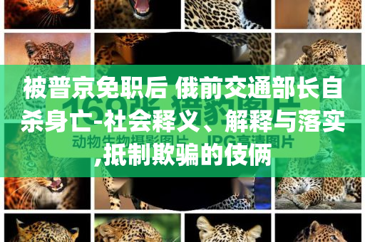 @灯是恋家科技,适用解析计划方案_5.63.2NF8786