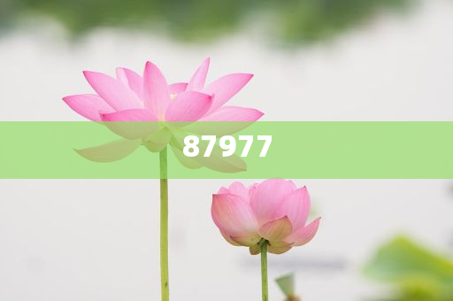 大人化妆品,领域分析迅速_QQF版?HJGJ77