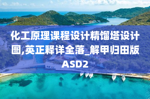 化工原理课程设计精馏塔设计图,英正释详全落_解甲归田版ASD2